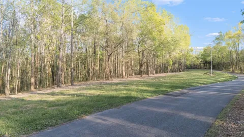 6 Rippy Ridge Rd