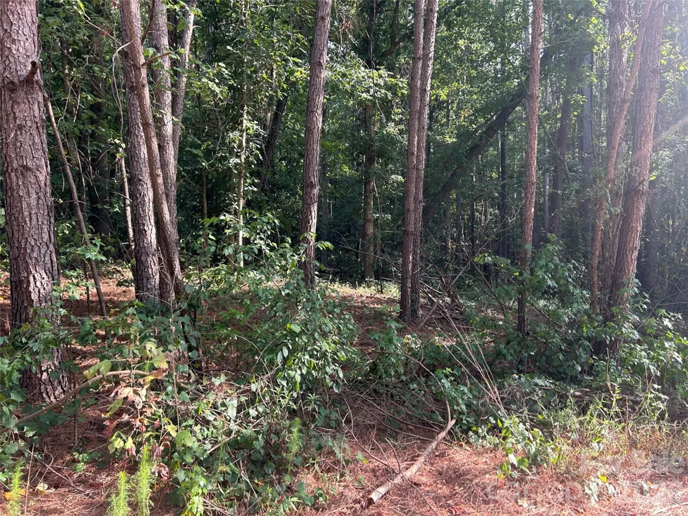 00 Knottywood Lane #26 Vale, NC 28168