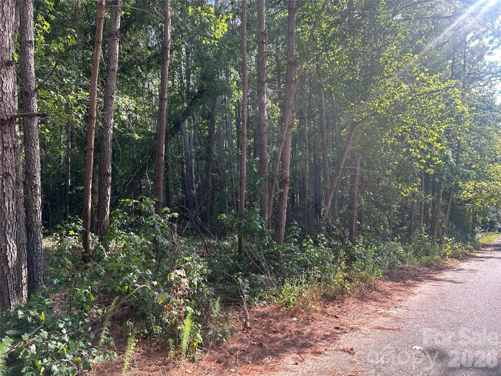 00 Knottywood Lane #26 Vale, NC 28168