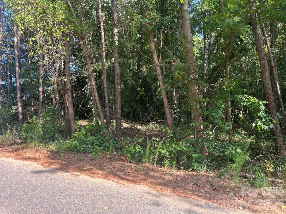 00 Knottywood Lane #26 Vale, NC 28168