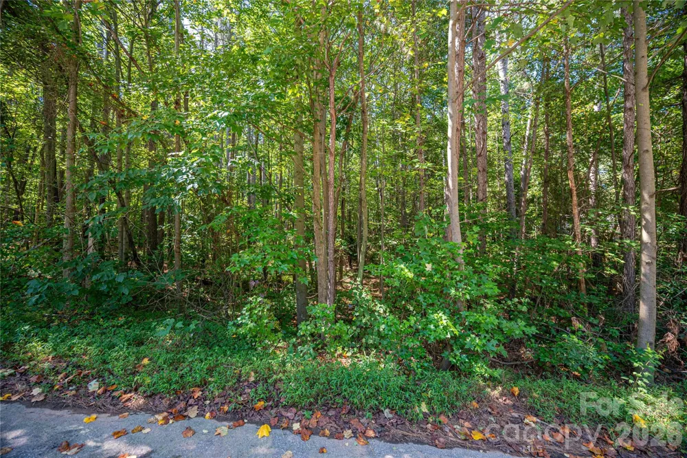 00 Knottywood Lane #26 Vale, NC 28168