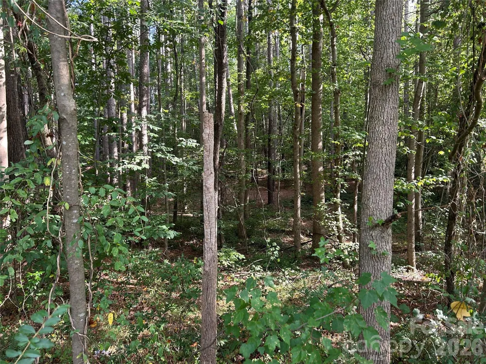 00 Knottywood Lane #25 Vale, NC 28168