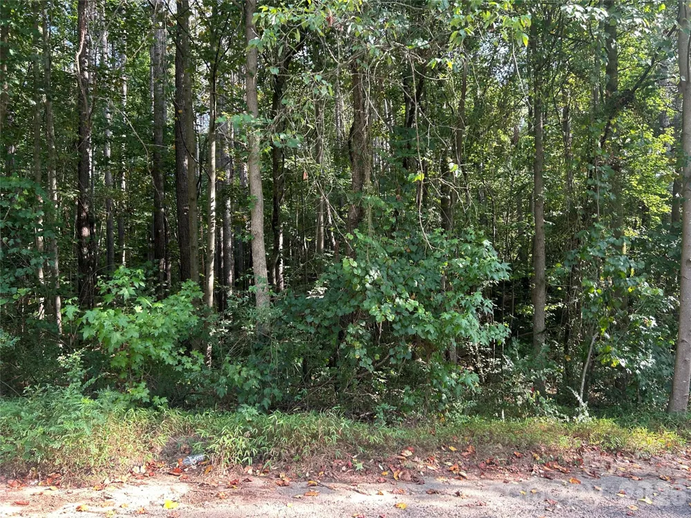 00 Knottywood Lane #25 Vale, NC 28168