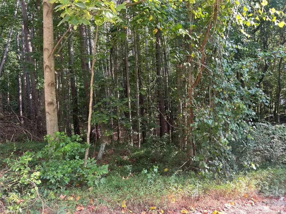 00 Knottywood Lane #25 Vale, NC 28168