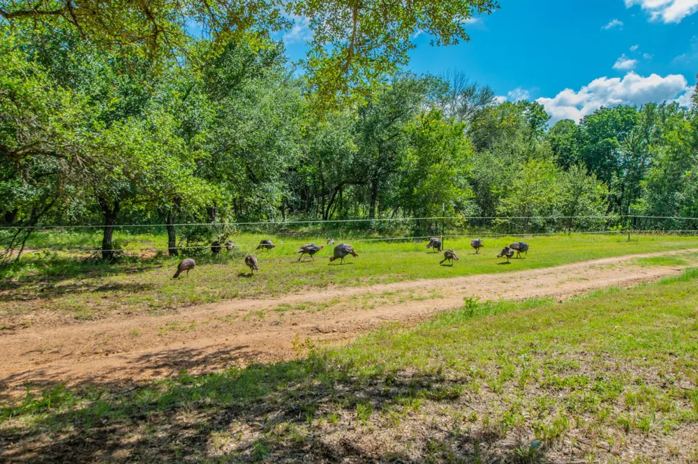 622 Private Road 4053 Buckholts, TX 76518