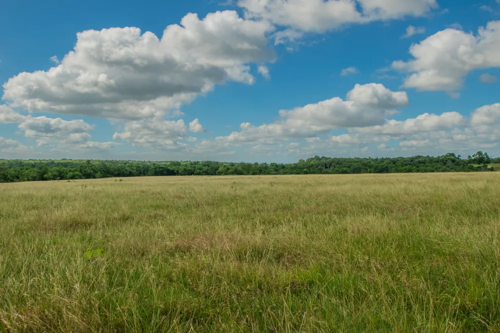 622 Private Road 4053 Buckholts, TX 76518