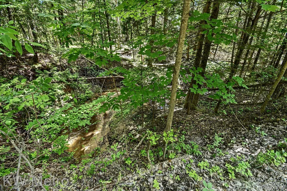 Franklin Trail Deep River Township, MI 48749