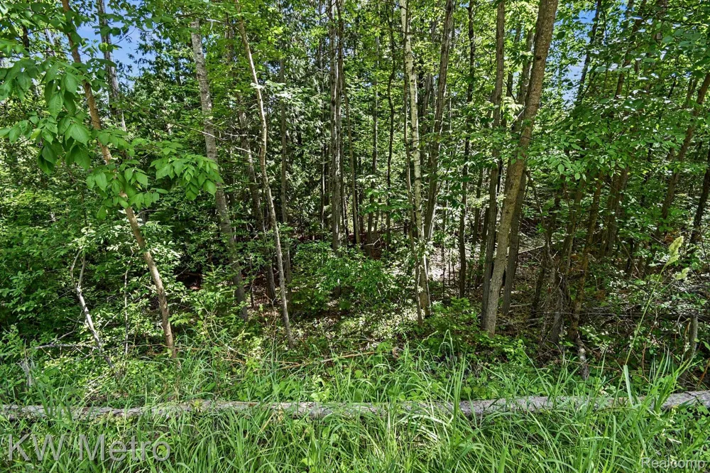 Franklin Trail Deep River Township, MI 48749