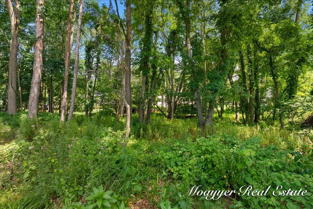 2549 Ashwood Court SE Ada, MI 49301