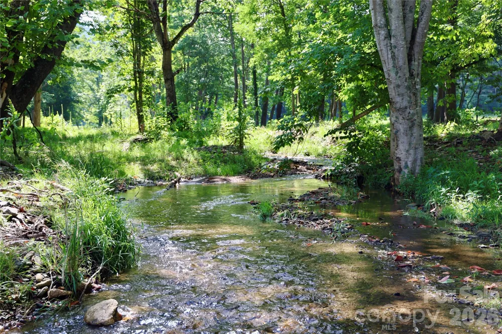 793 State Highway 197 South Burnsville, NC 28714