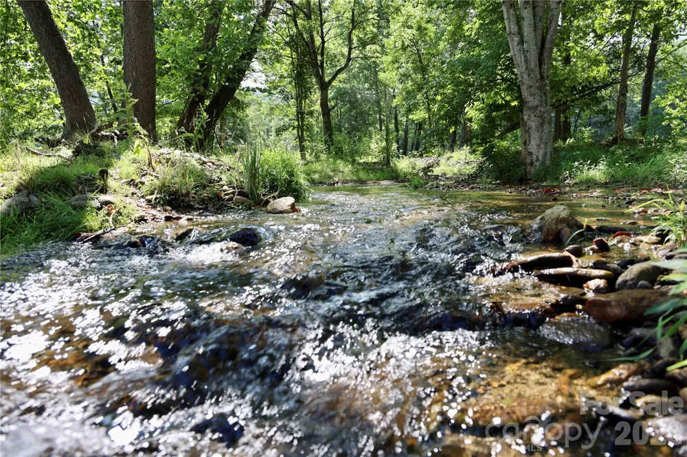 793 State Highway 197 South Burnsville, NC 28714