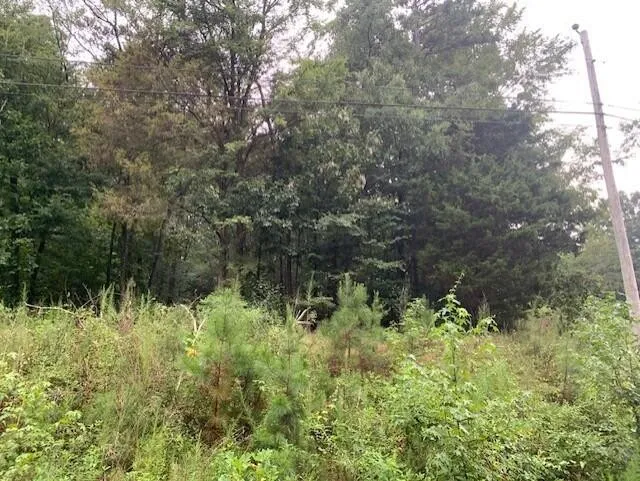 2 NW Frontage Road Cleveland, TN 37312