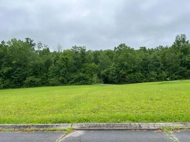 0 Frank Circle Circle Dayton, TN 37321
