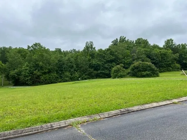 0 Frank Circle Circle Dayton, TN 37321