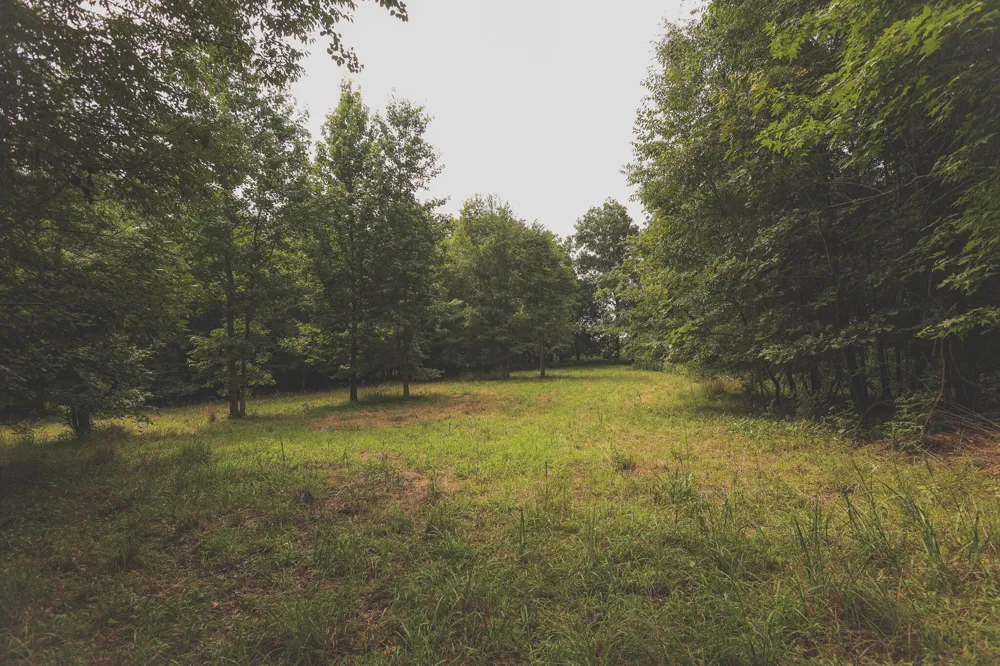 0 Isbell Lane Decherd, TN 37324