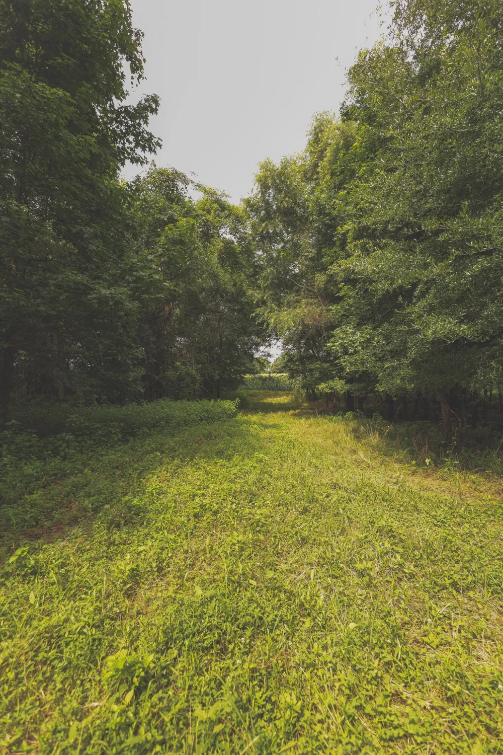 0 Isbell Lane Decherd, TN 37324