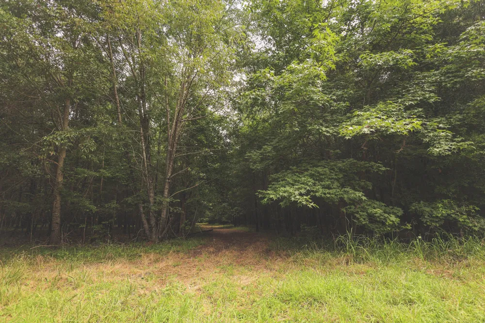 0 Isbell Lane Decherd, TN 37324