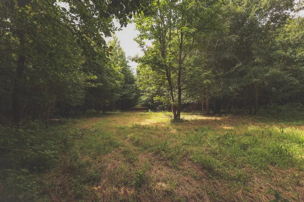 0 Isbell Lane Decherd, TN 37324
