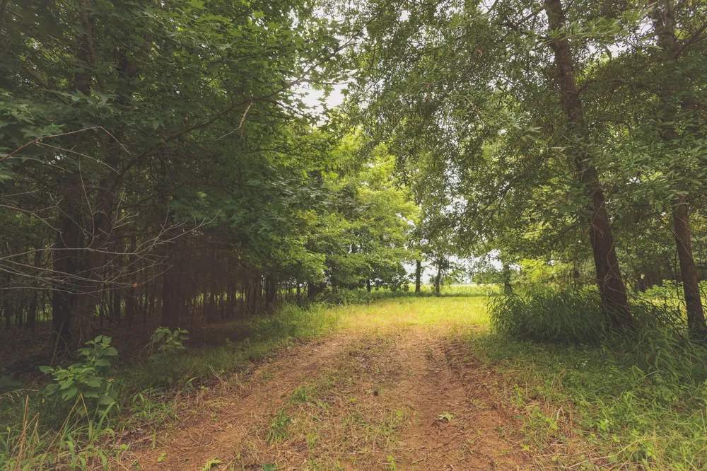 0 Isbell Lane Decherd, TN 37324