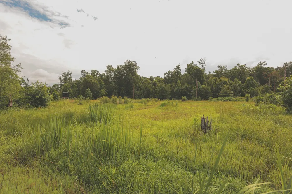 0 Isbell Lane Decherd, TN 37324