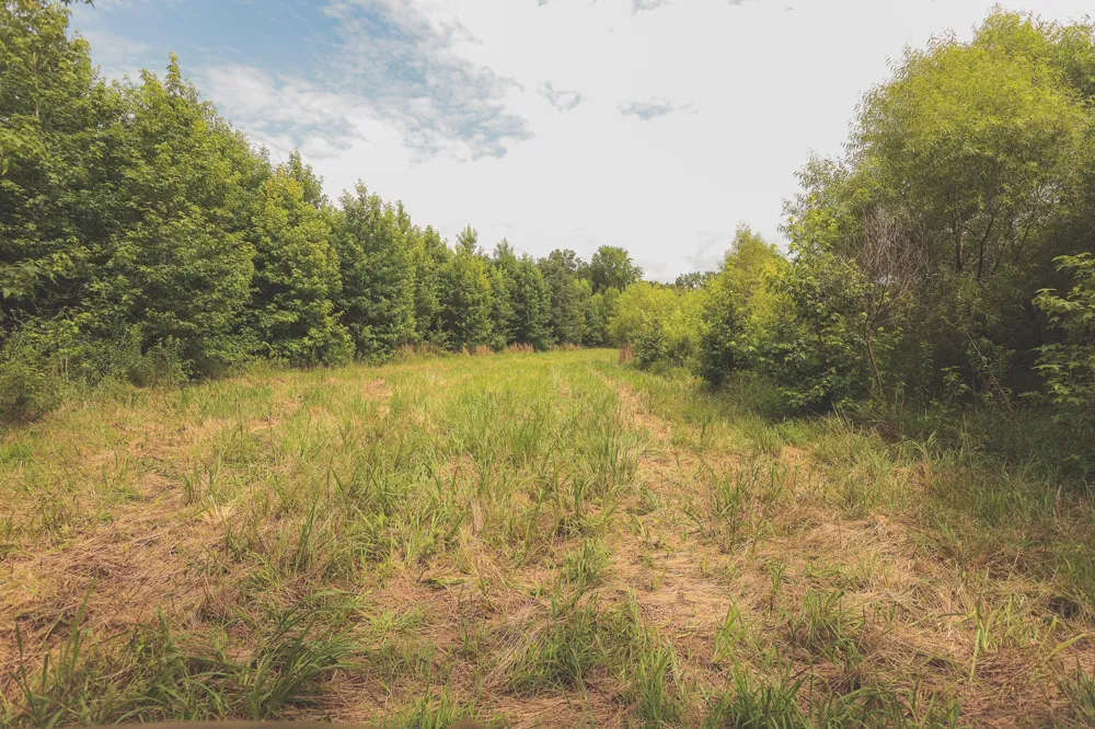 0 Isbell Lane Decherd, TN 37324