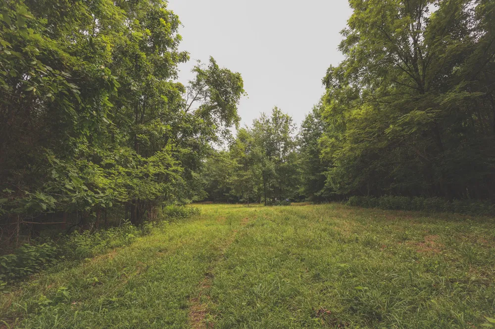 0 Isbell Lane Decherd, TN 37324