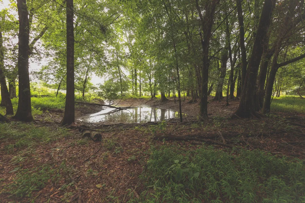 0 Isbell Lane Decherd, TN 37324