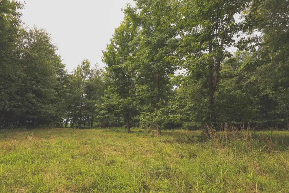 0 Isbell Lane Decherd, TN 37324