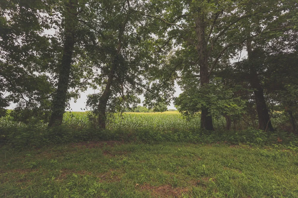 0 Isbell Lane Decherd, TN 37324