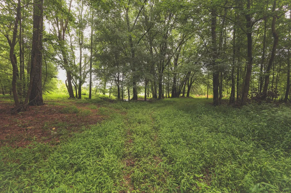 0 Isbell Lane Decherd, TN 37324