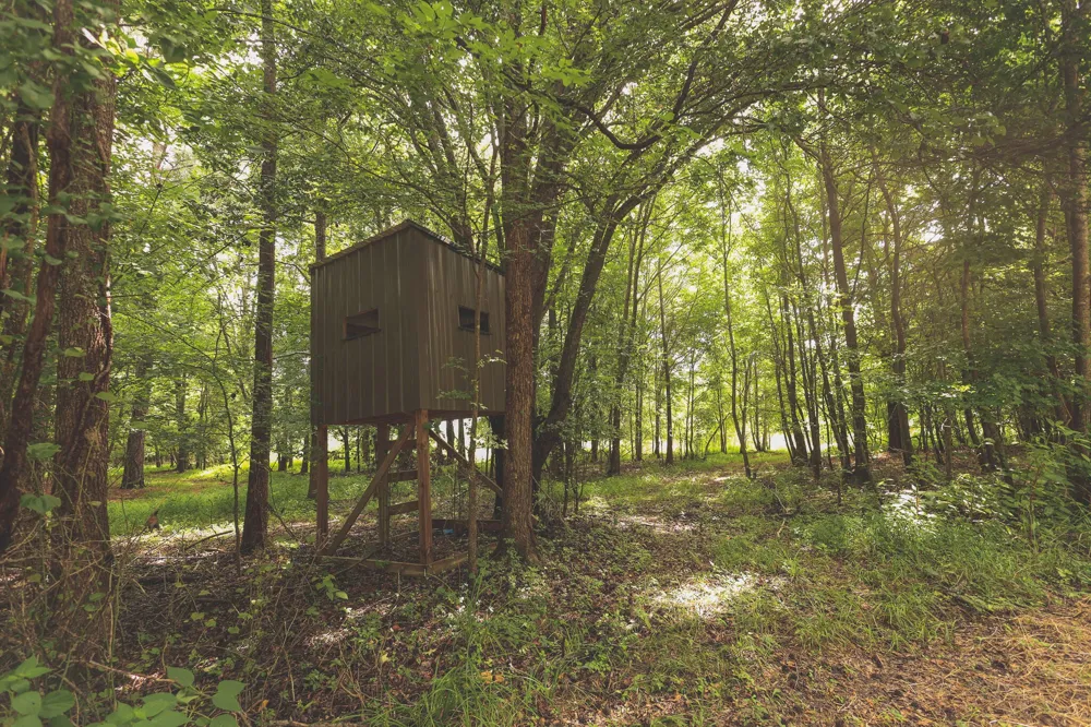 0 Isbell Lane Decherd, TN 37324