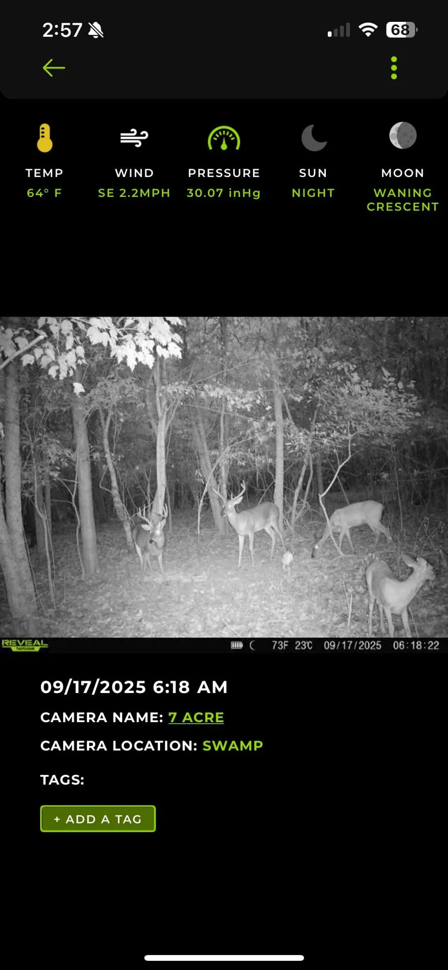 0 Isbell Lane Decherd, TN 37324