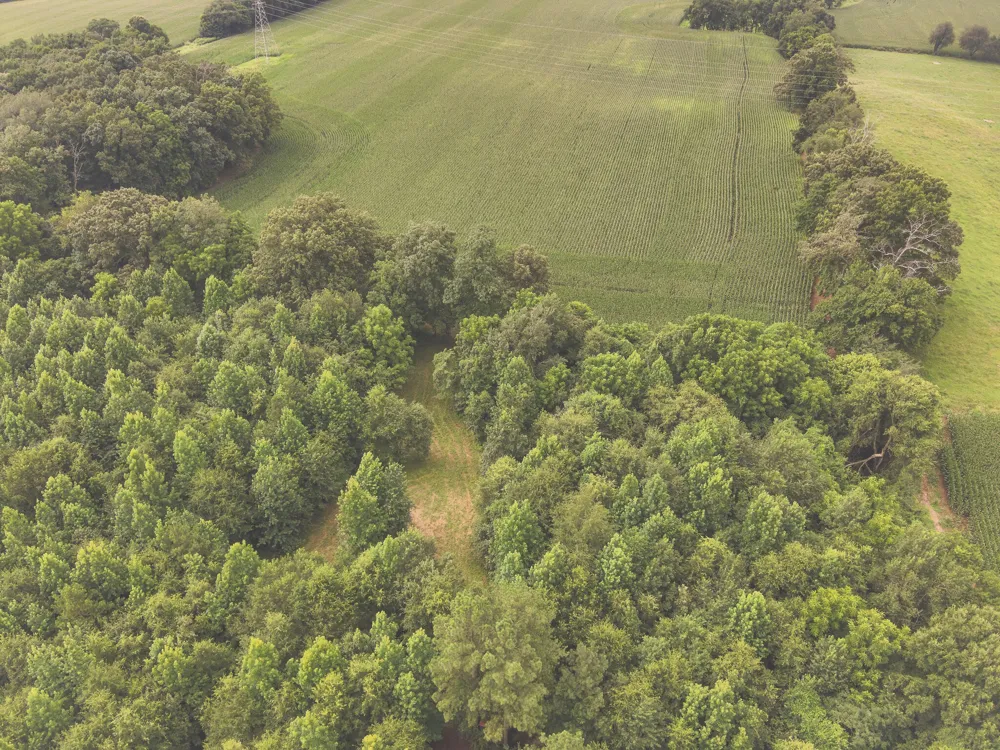 0 Isbell Lane Decherd, TN 37324