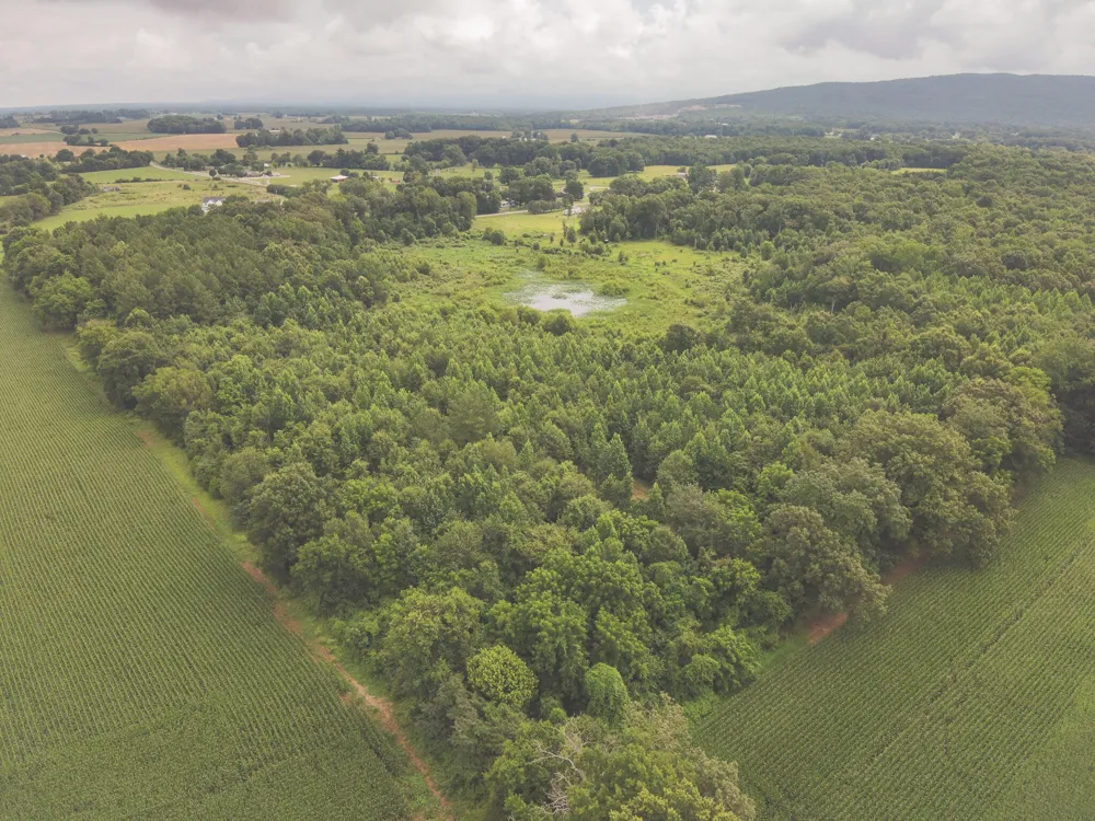 0 Isbell Lane Decherd, TN 37324