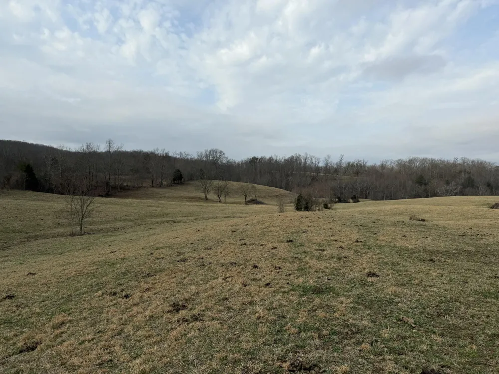 0 Clayton Angel Road Pikeville, TN 37367