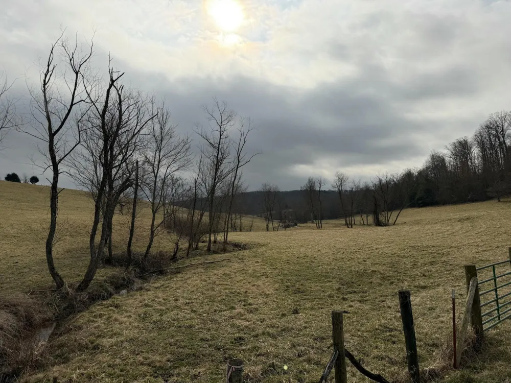 0 Clayton Angel Road Pikeville, TN 37367