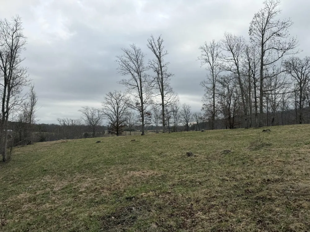 0 Clayton Angel Road Pikeville, TN 37367