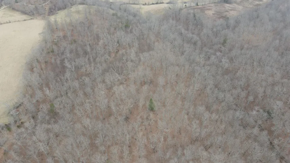 0 Clayton Angel Road Pikeville, TN 37367