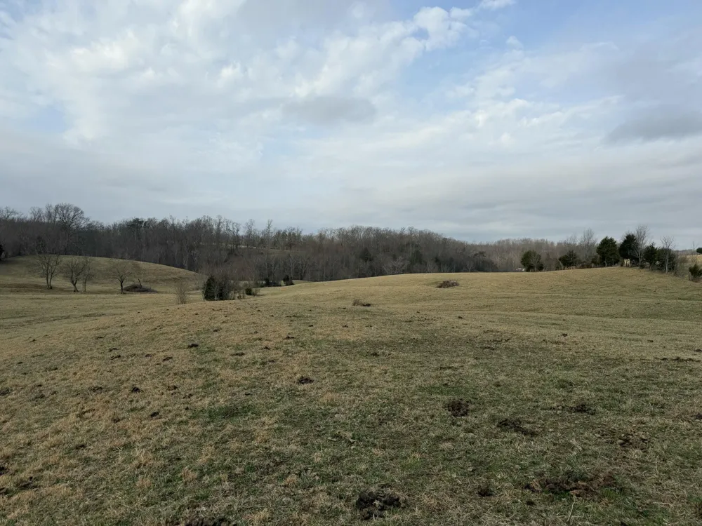 0 Clayton Angel Road Pikeville, TN 37367