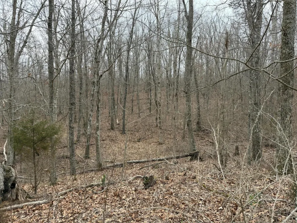 0 Clayton Angel Road Pikeville, TN 37367