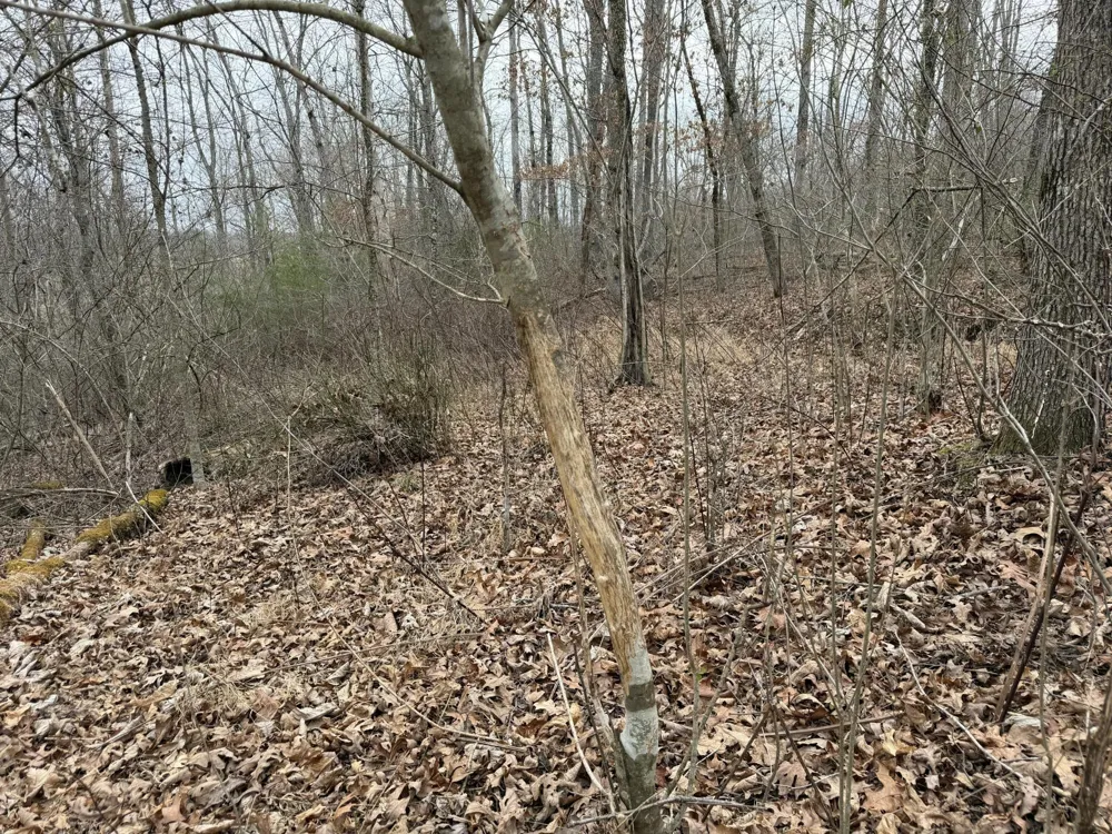 0 Clayton Angel Road Pikeville, TN 37367