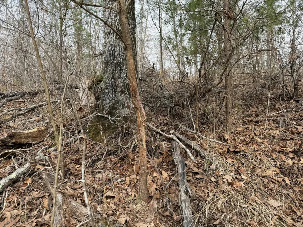 0 Clayton Angel Road Pikeville, TN 37367