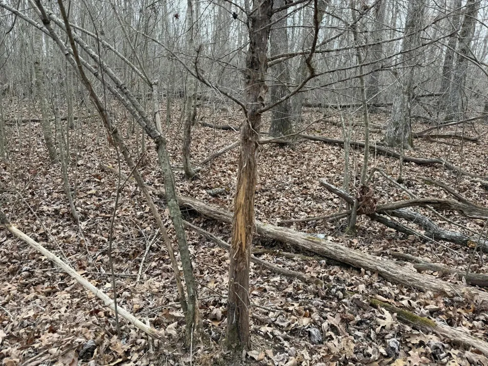 0 Clayton Angel Road Pikeville, TN 37367
