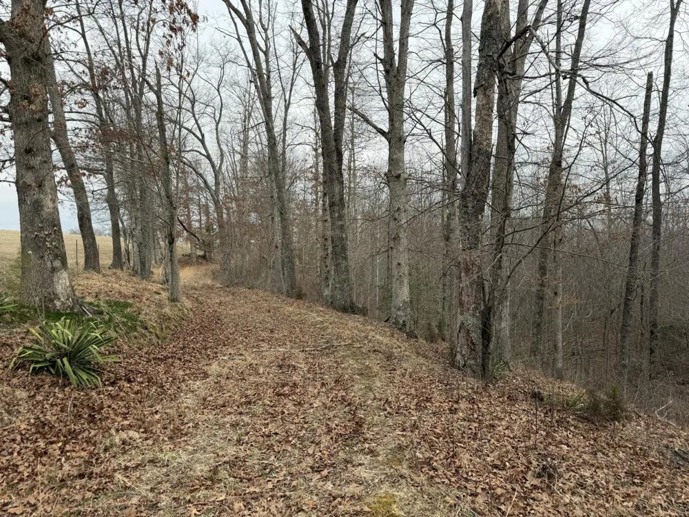 0 Clayton Angel Road Pikeville, TN 37367