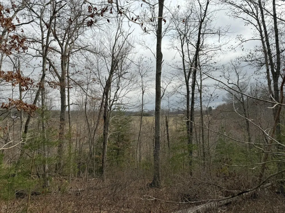 0 Clayton Angel Road Pikeville, TN 37367