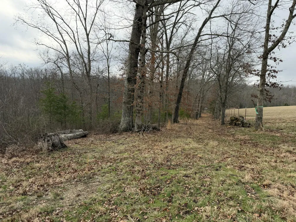 0 Clayton Angel Road Pikeville, TN 37367