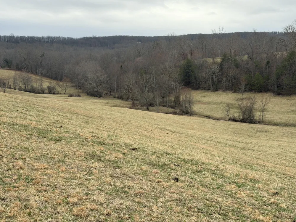 0 Clayton Angel Road Pikeville, TN 37367