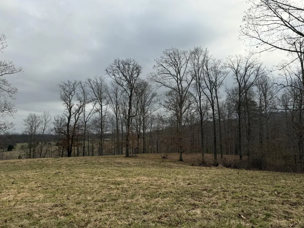 0 Clayton Angel Road Pikeville, TN 37367