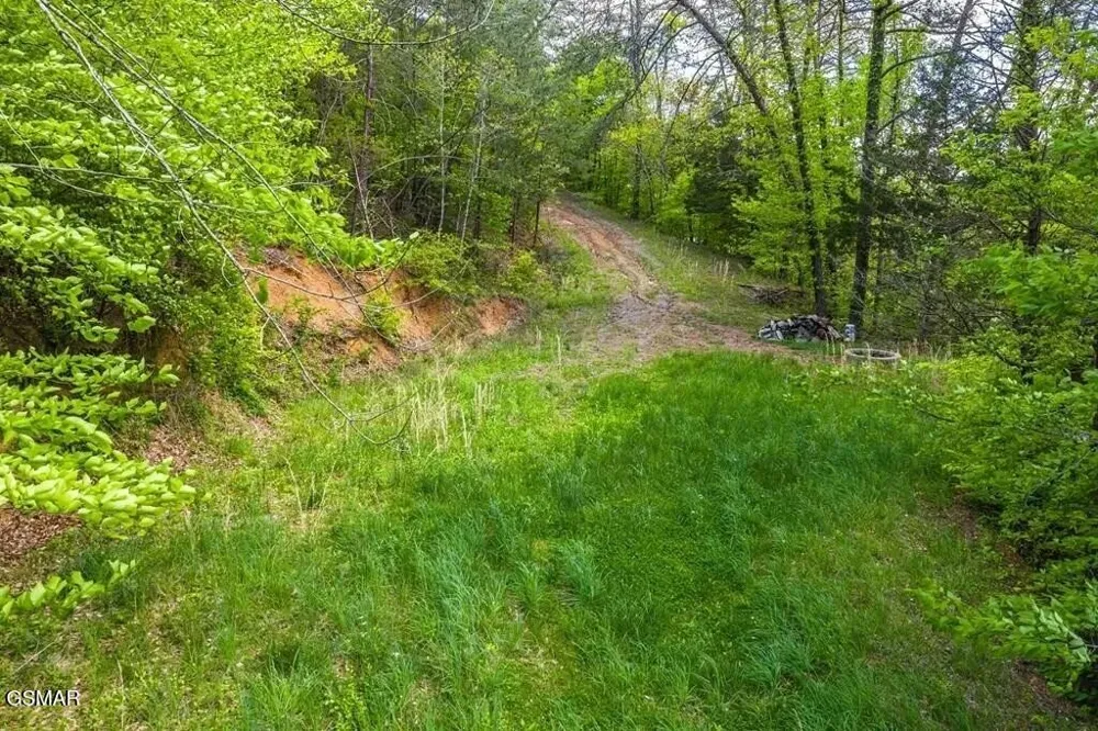 2 Caywood Road Dandridge, TN 37725