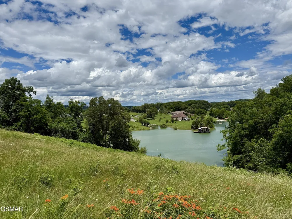 12 Ferry Hill Road Dandridge, TN 37725
